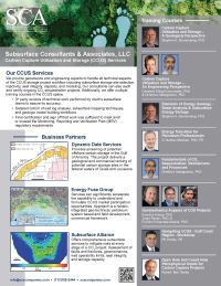 Ccus all services flyer